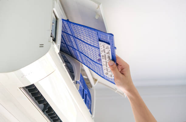 Best Air Duct Mold Removal  in Jackson, MI